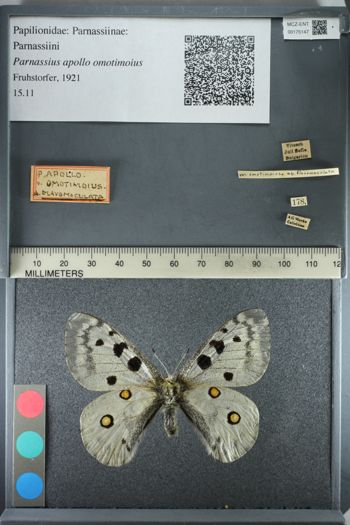 Media type: image;   Entomology 175147